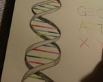 Dna has been created with a 6 letter code x and y base pairs have been added to the genetic alphabet