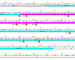 Significant issue in crispr cas9 overcome less errors and increased specificity for future genetic edits