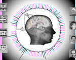 Brain signals decoded real time 96 percent accuracy implanted electrodes humans brains