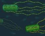 Bio engineers design complex dna encoded circuits programming language