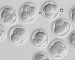 Chinese researchers edit human embryos crispr altered genes resistant hiv