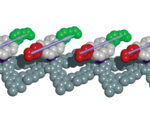 Scientists create coordinated molecular motors future nanomachines