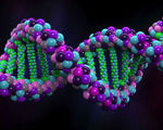 Fabricating synthetic genome discussed privately researchers dna