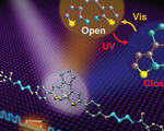 Room temperature single molecule switch lasts over year