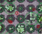 Farmbot system people automate growing vegetables gardening destroys weeds