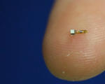 Tiny dust sized sensor future brain machine interfaces neural dust