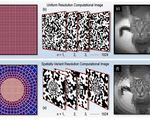 Single pixel camera mimicked human vision machine vision algorithms