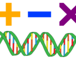 Synthetic dna analog circuits math add subtract multiply