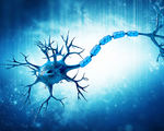 Multiple sclerosis breakthrough progression stopped replacing diseased immune system