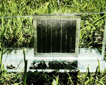 Artificial photosynthetic systems sustainable energy generation storage