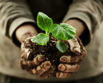 Farmer holding plants in hands dirty hands shutterstock 143191069