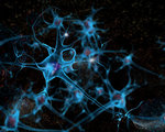 3d illustration neurons cell brain shutterstock 432067900 1068x601