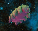 Scientists look to tardigrades to help protect future space faring humans from radiation