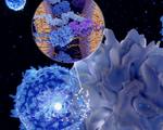 Immunotherapy breakthrough recruits more immune cells to fight cancer